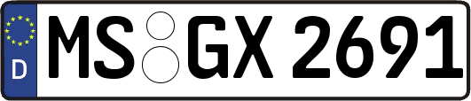 MS-GX2691
