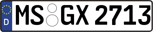 MS-GX2713