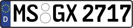 MS-GX2717