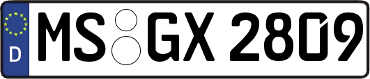 MS-GX2809