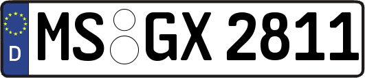 MS-GX2811