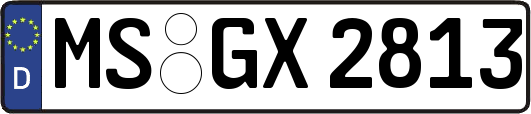 MS-GX2813