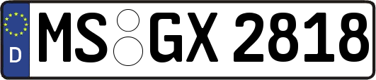 MS-GX2818