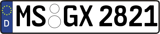 MS-GX2821