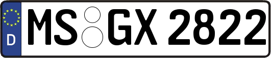 MS-GX2822