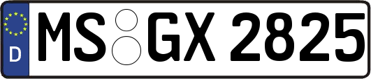 MS-GX2825