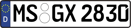 MS-GX2830