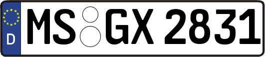 MS-GX2831