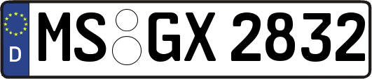 MS-GX2832
