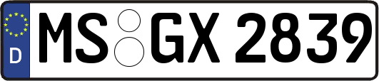 MS-GX2839