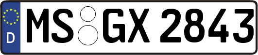 MS-GX2843