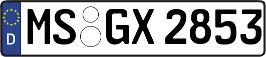 MS-GX2853