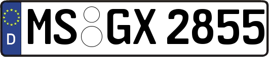MS-GX2855