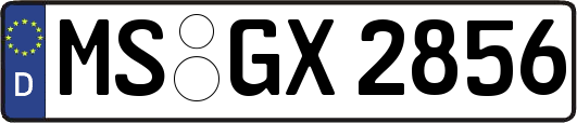 MS-GX2856
