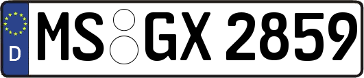MS-GX2859