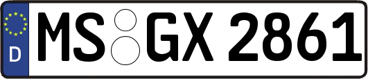 MS-GX2861
