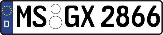 MS-GX2866