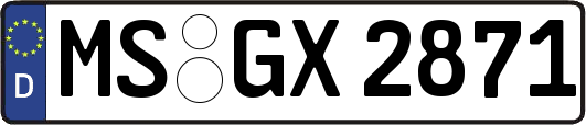 MS-GX2871