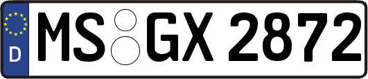 MS-GX2872