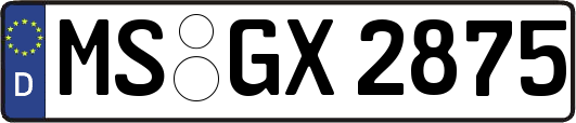 MS-GX2875