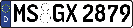 MS-GX2879