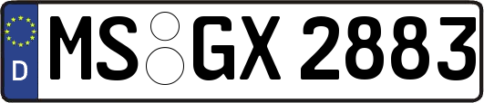 MS-GX2883