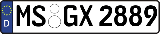 MS-GX2889