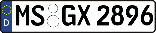 MS-GX2896