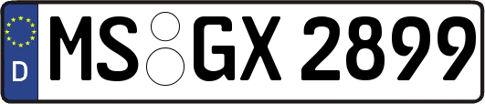 MS-GX2899