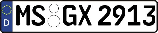 MS-GX2913