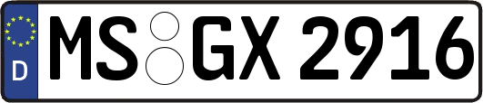 MS-GX2916