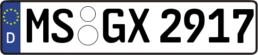 MS-GX2917