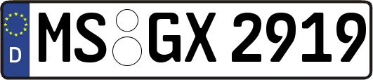 MS-GX2919