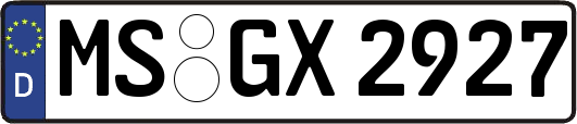 MS-GX2927