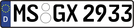 MS-GX2933