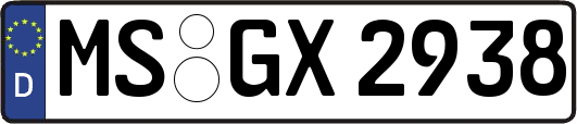 MS-GX2938