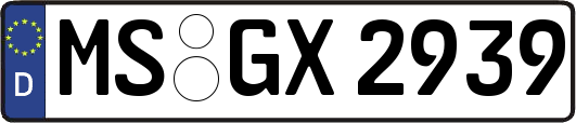 MS-GX2939