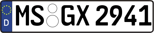 MS-GX2941
