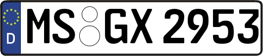 MS-GX2953
