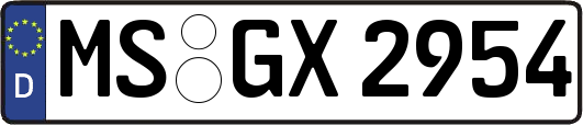 MS-GX2954