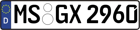 MS-GX2960