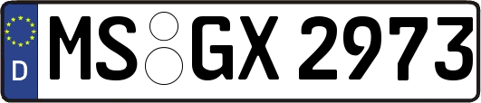 MS-GX2973