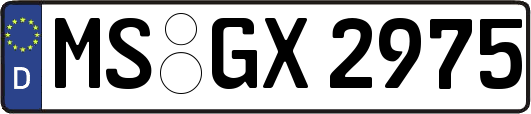 MS-GX2975