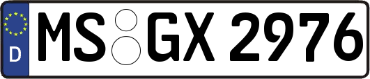 MS-GX2976