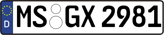 MS-GX2981