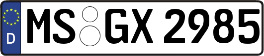 MS-GX2985