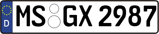 MS-GX2987
