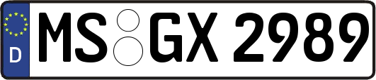 MS-GX2989