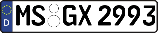 MS-GX2993
