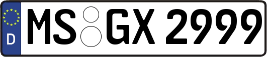 MS-GX2999